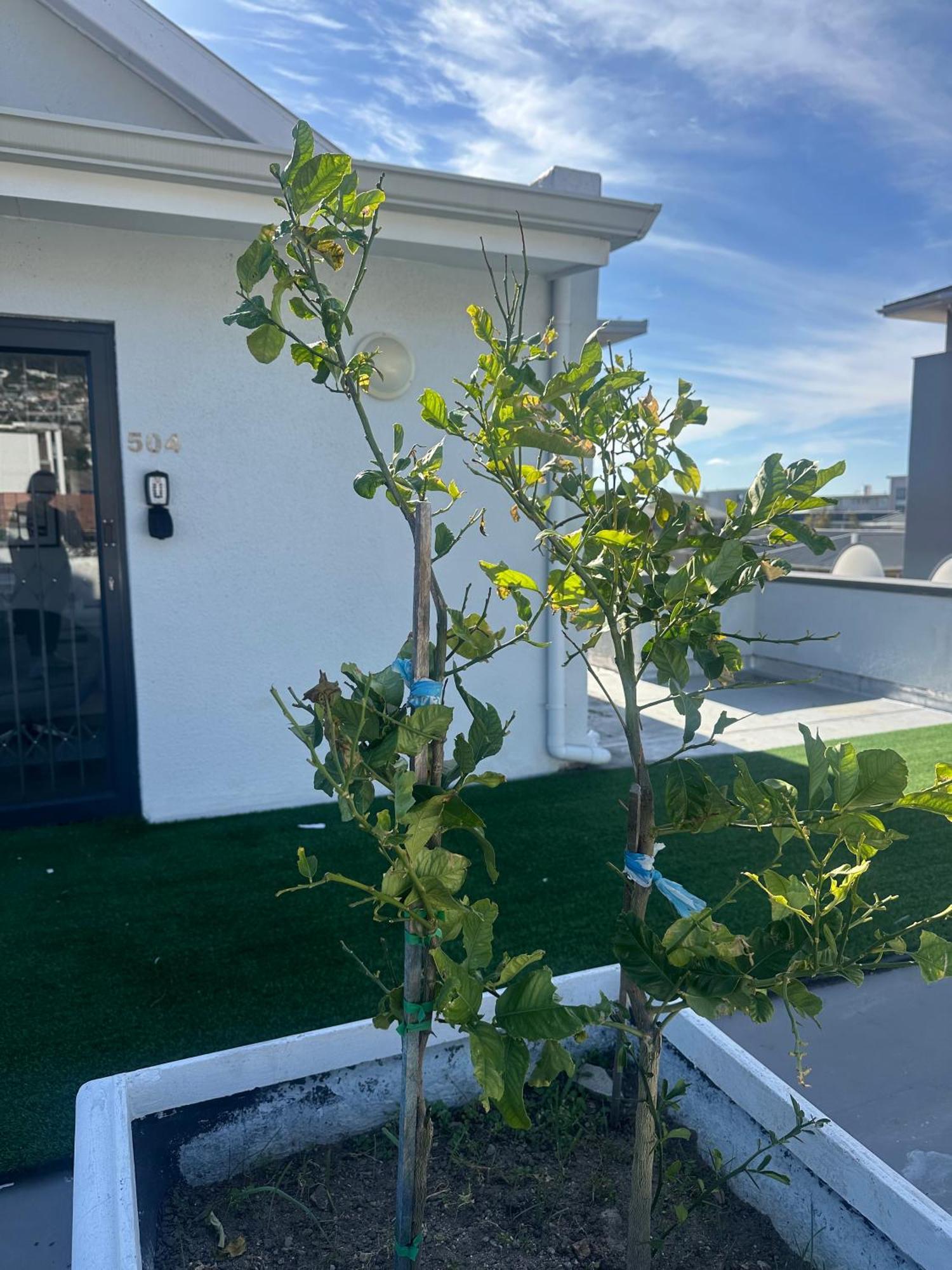 קייפטאון Camborne Holiday Apartments מראה חיצוני תמונה