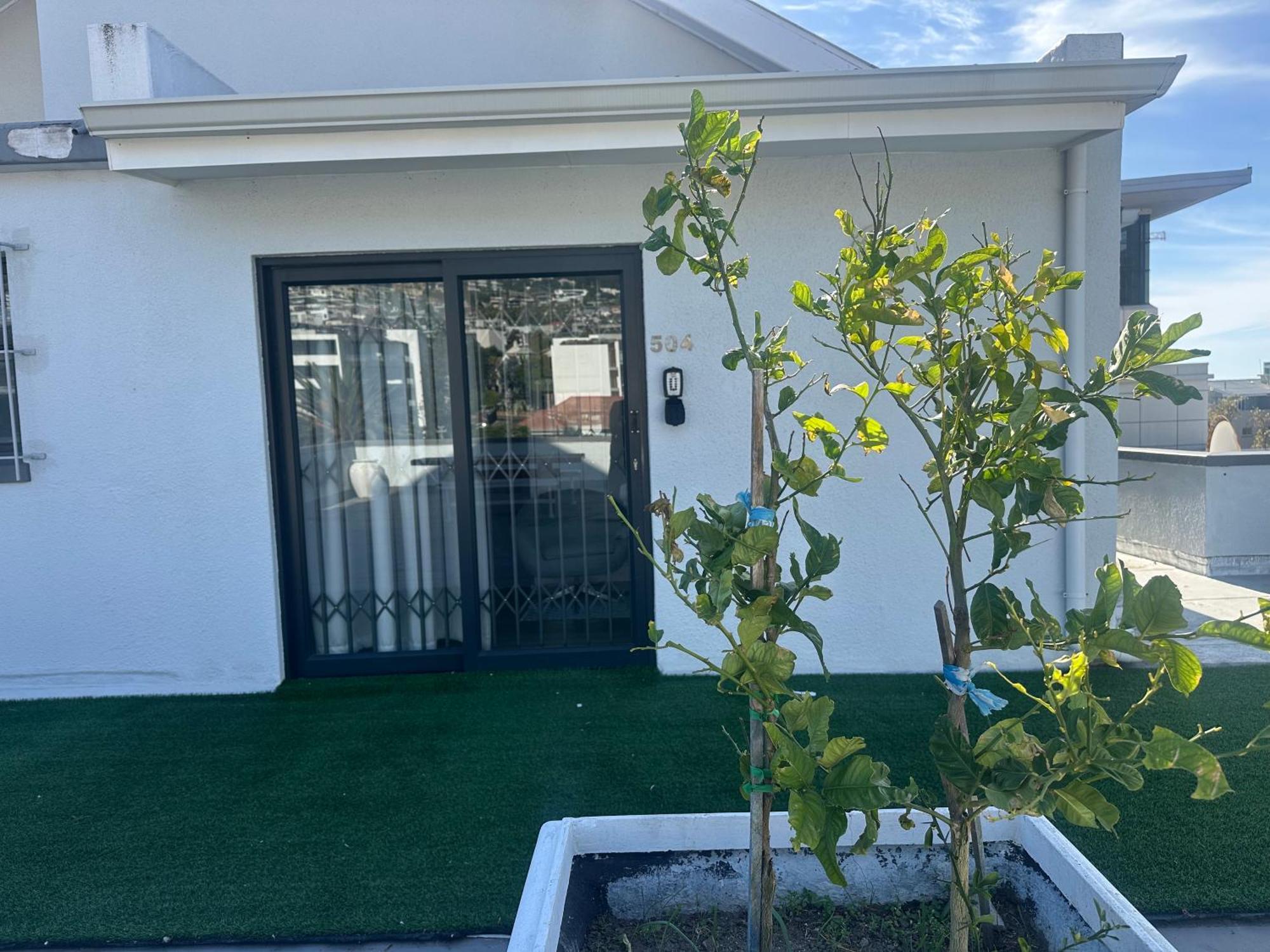 קייפטאון Camborne Holiday Apartments מראה חיצוני תמונה